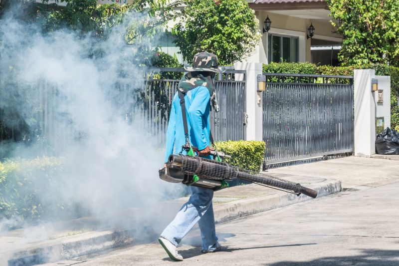 Smoke Odor Removal