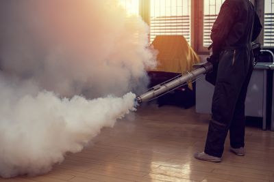Smoke Odor Removal Process